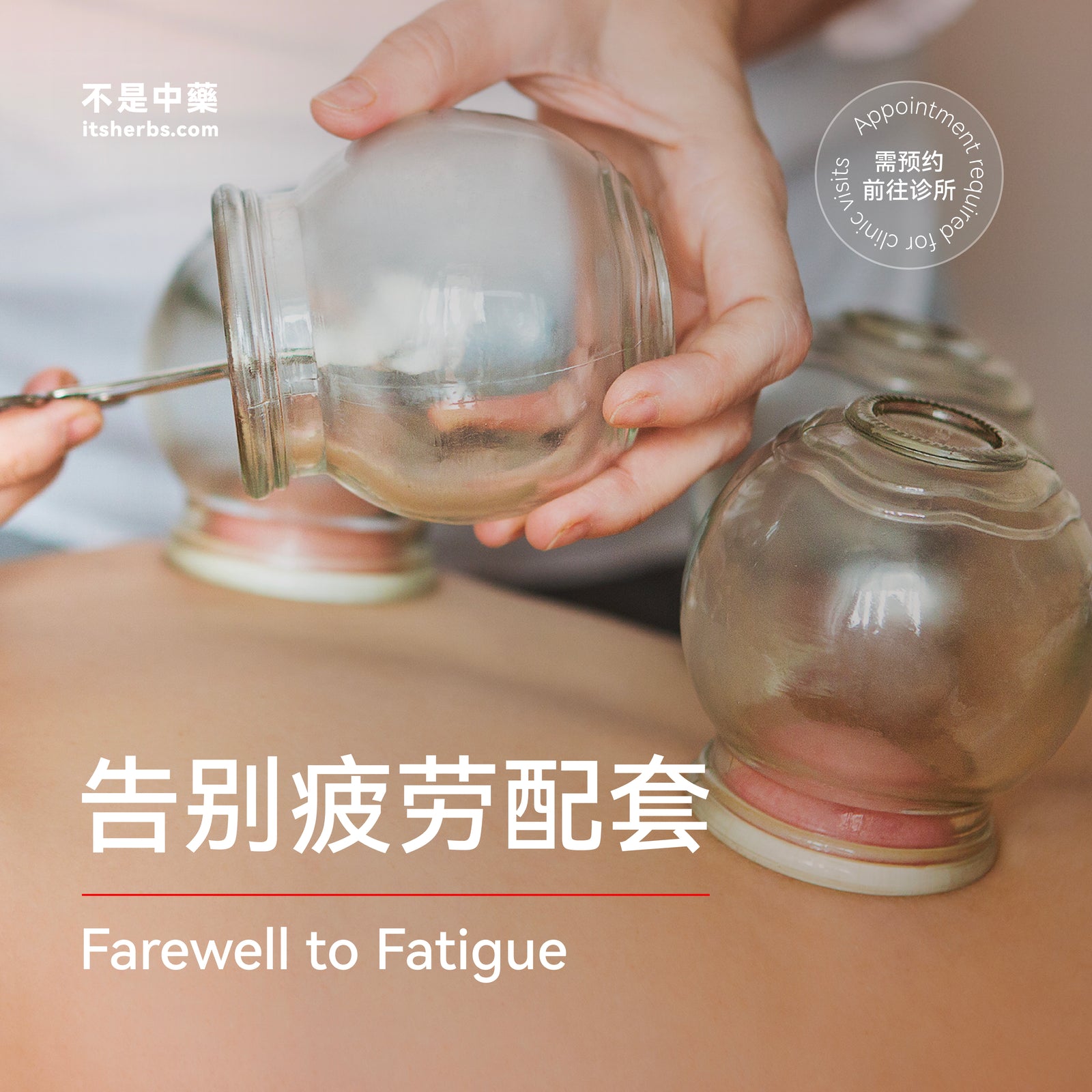 告别疲劳调理配套