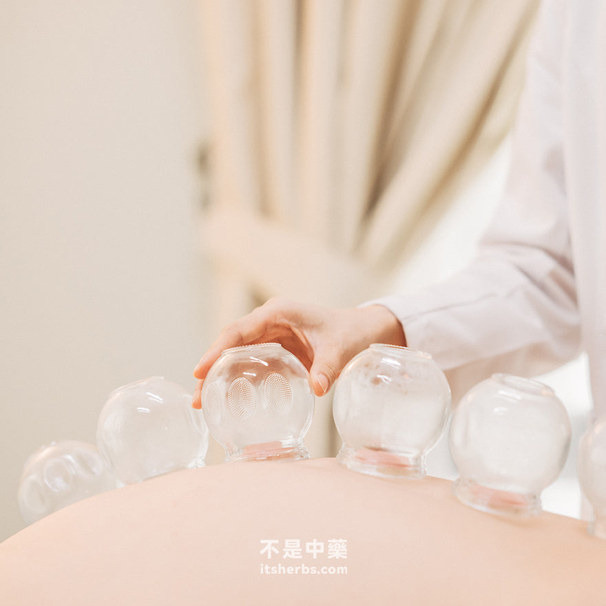 享瘦健康管理配套