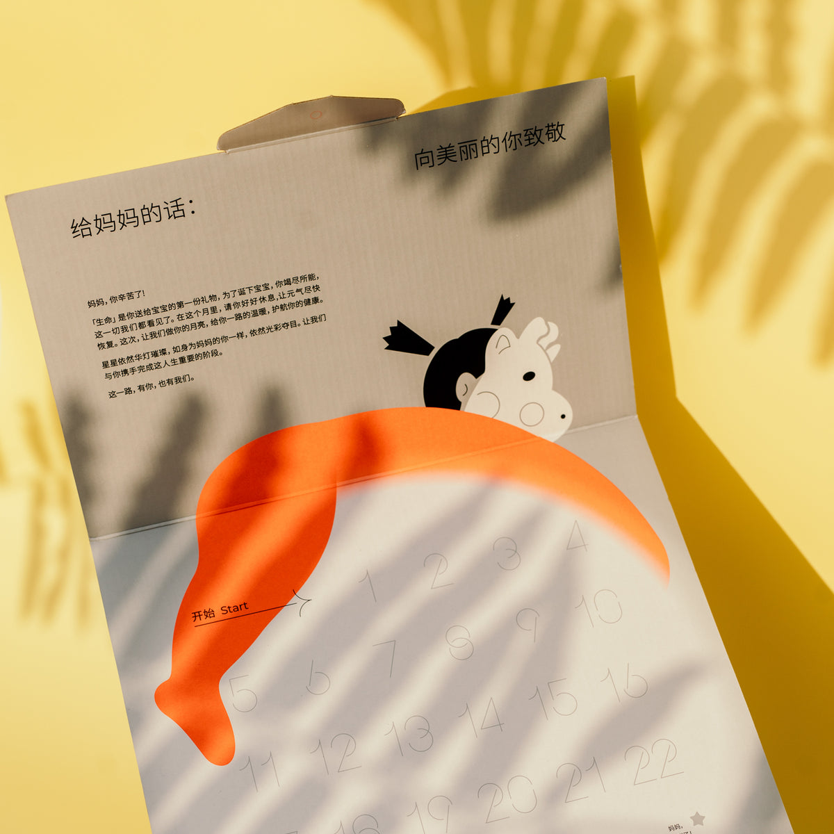 【Not Confinement】Golden 28 Days | 1 to 1 Customized Confinement Soup Package