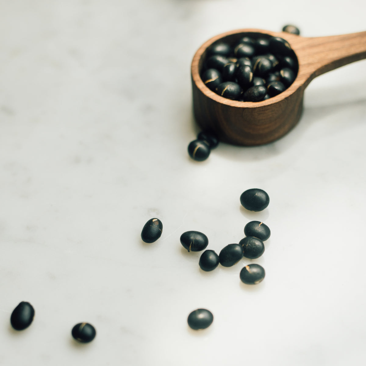 炒黑豆茶 Roasted Black Bean Tea