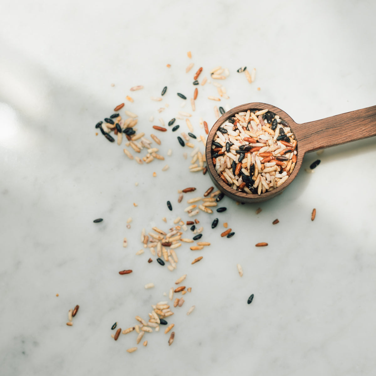 炒米茶 Roasted Rice Tea