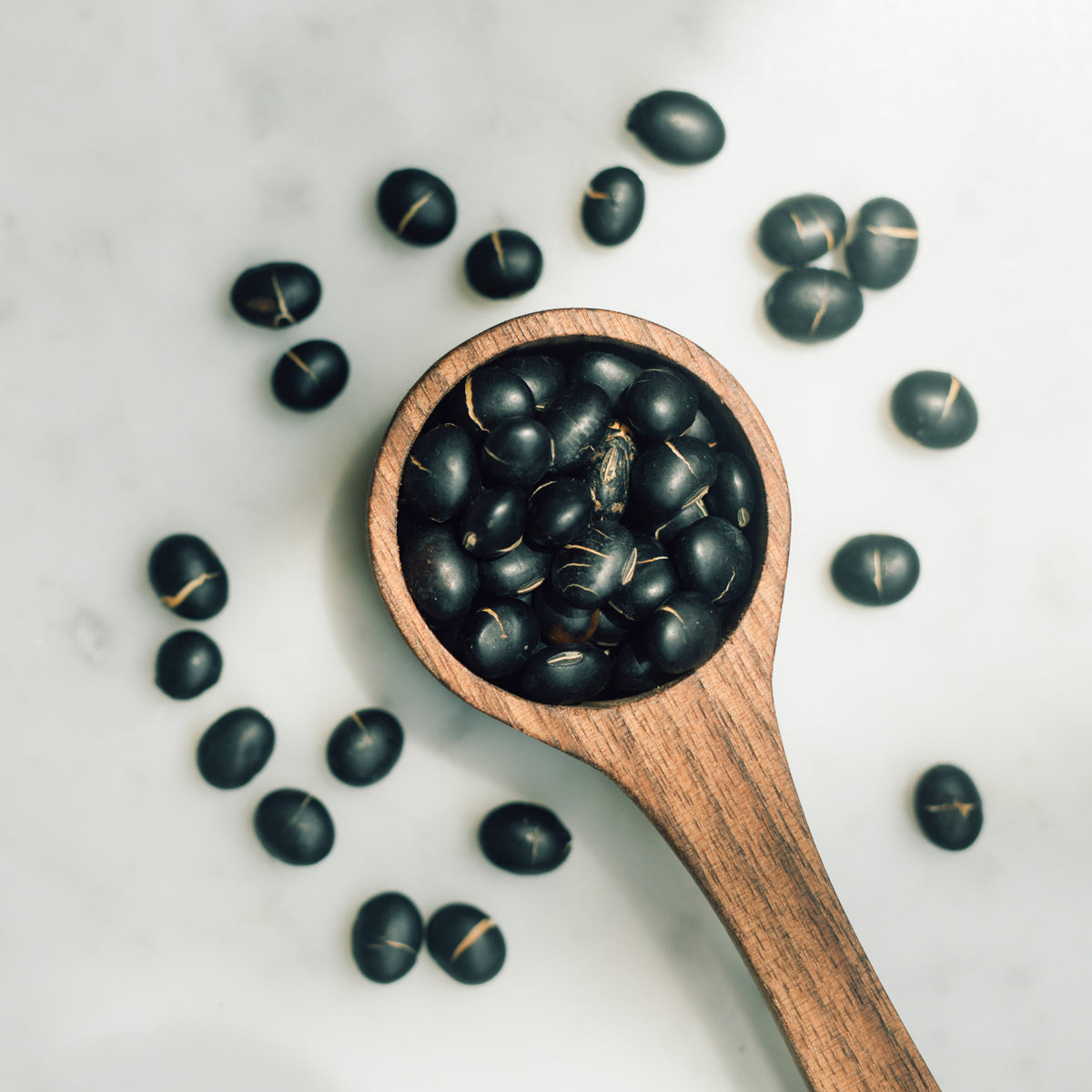 炒黑豆茶 Roasted Black Bean Tea